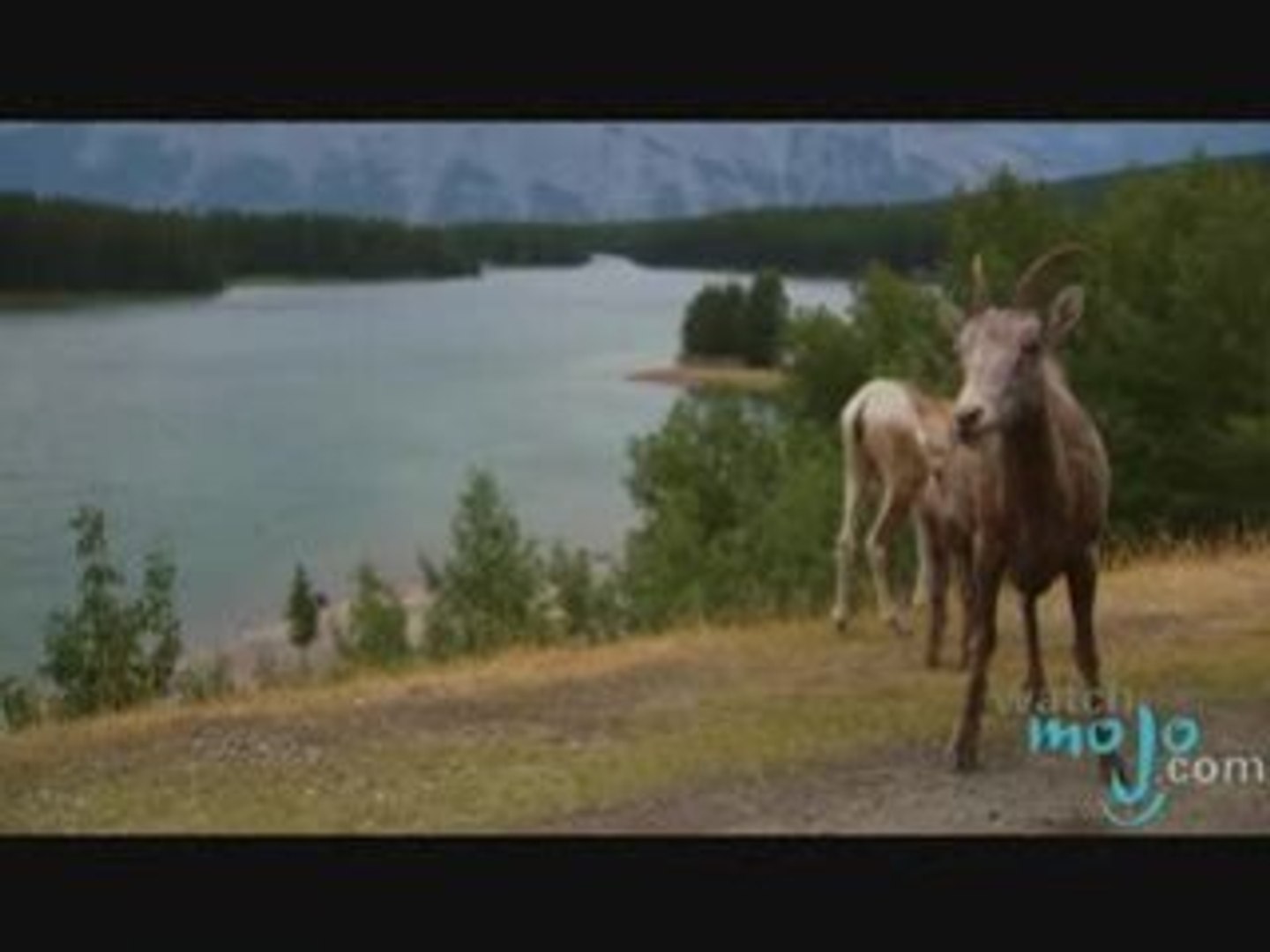 ⁣Travel Guide - Banff, Alberta