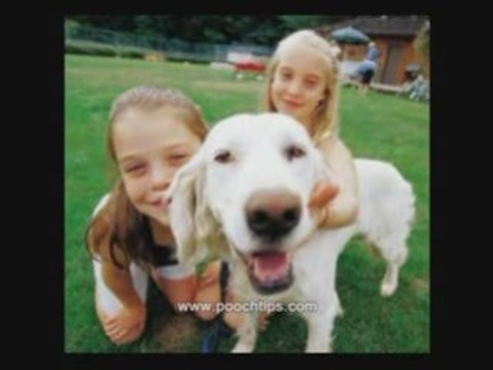 training a puppy not to bite