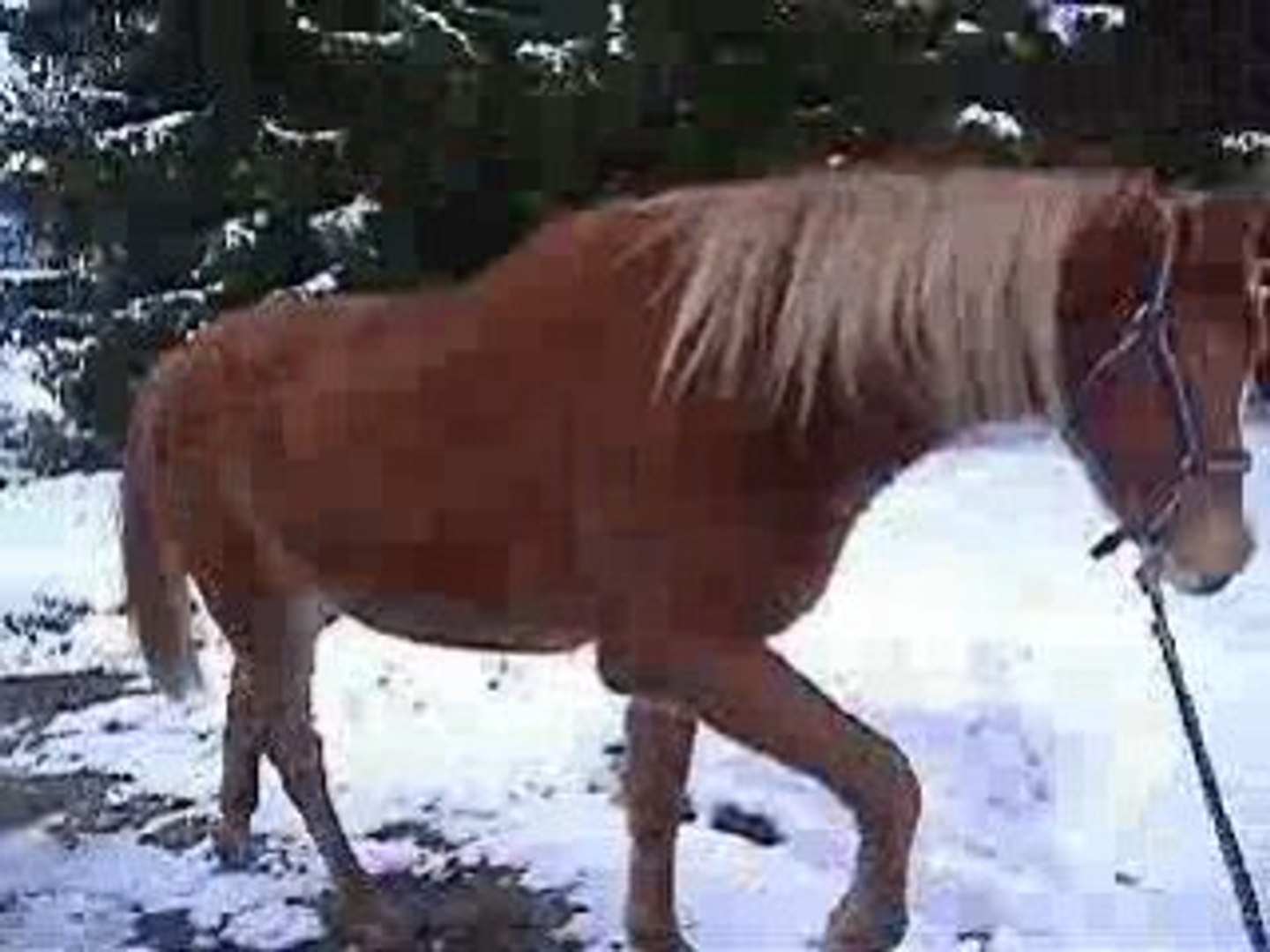 DSCF2510