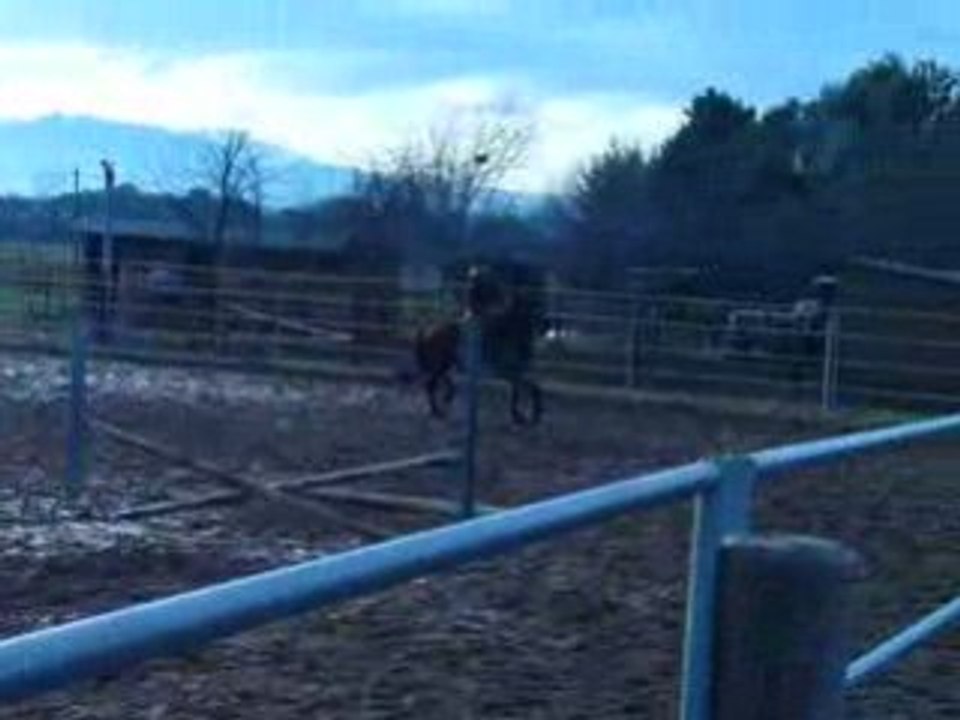 Cours de saut 6e essai