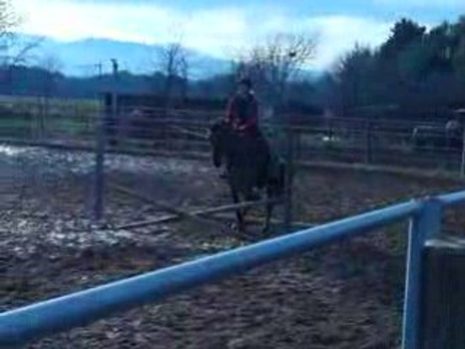 Cours de saut 9e essai