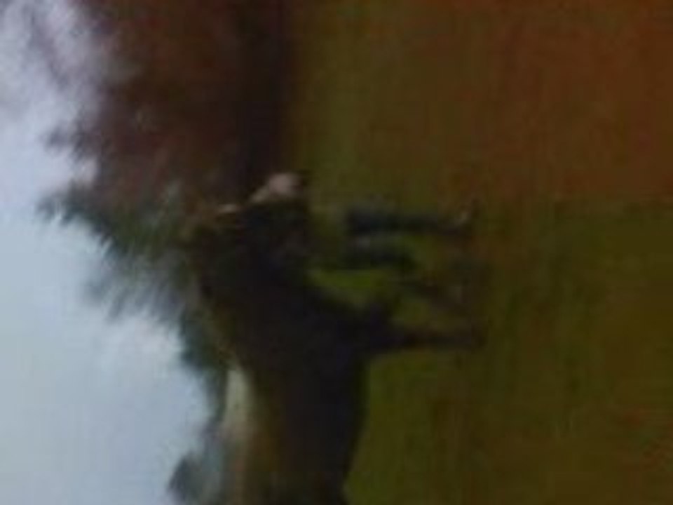 Trot espagnol