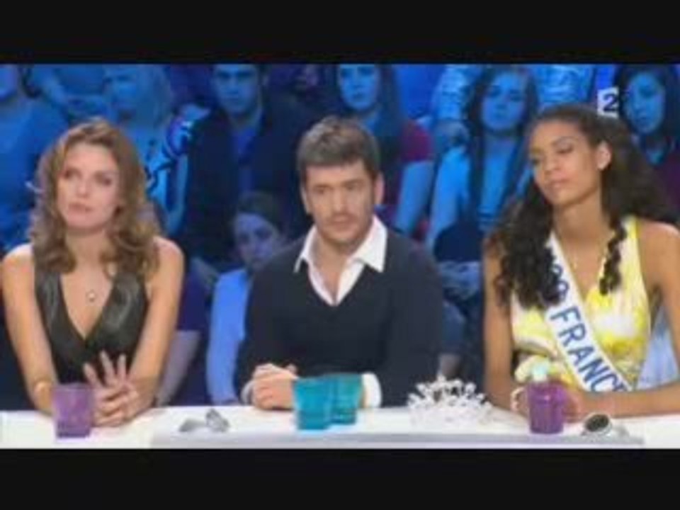 on n'est pas couché clash: attali quitte le plateau