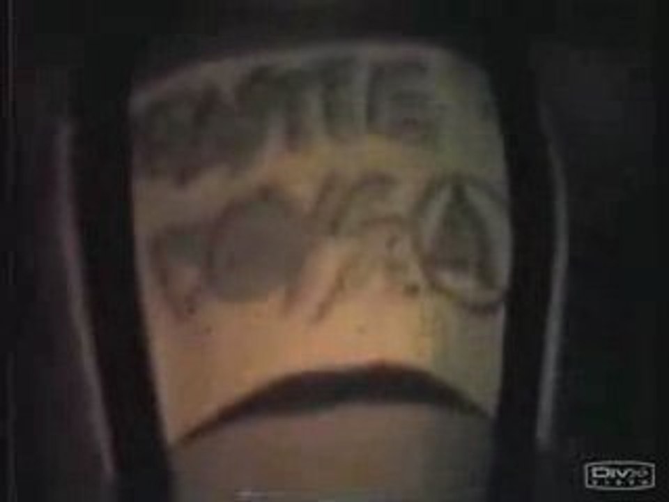 Holy Snappers- Beastie Boys