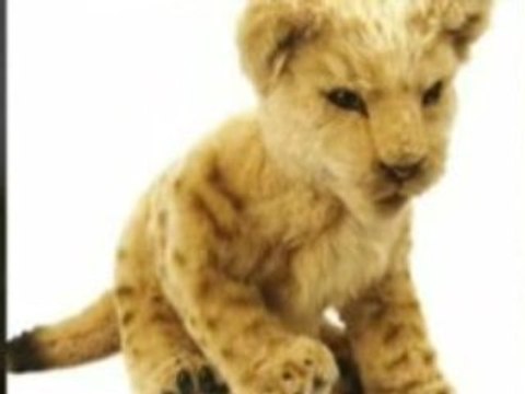 WowWee Alive Lion Cubs Plush Robotic Toys in Tan, Toy Toy!