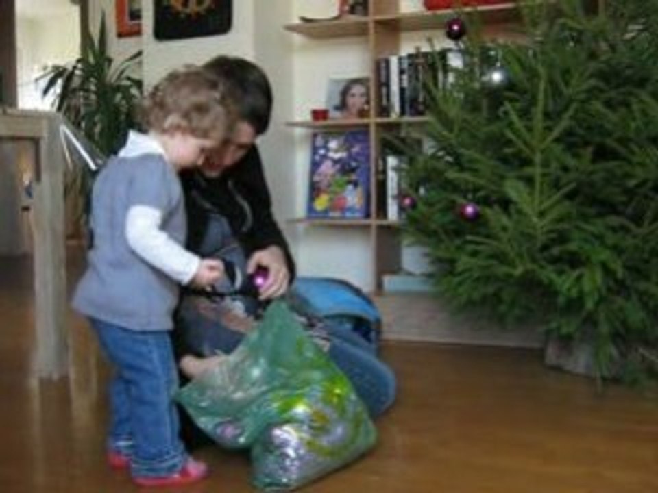 Sapin 2008