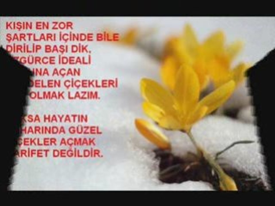 KARDELEN ÇİÇEĞİM