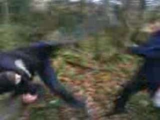 Poursuite d'alex et flo