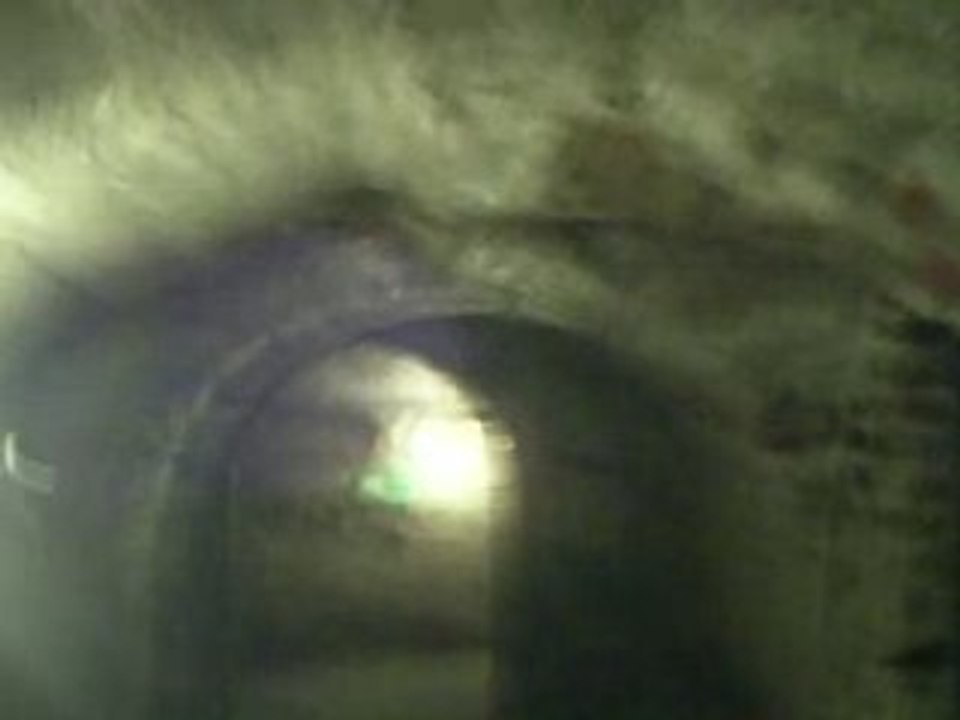 Gewölbe Chemnitz / Gang 2 /1