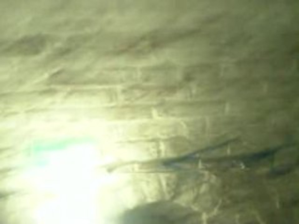 Gewölbe Chemnitz / Gang 2 / 5