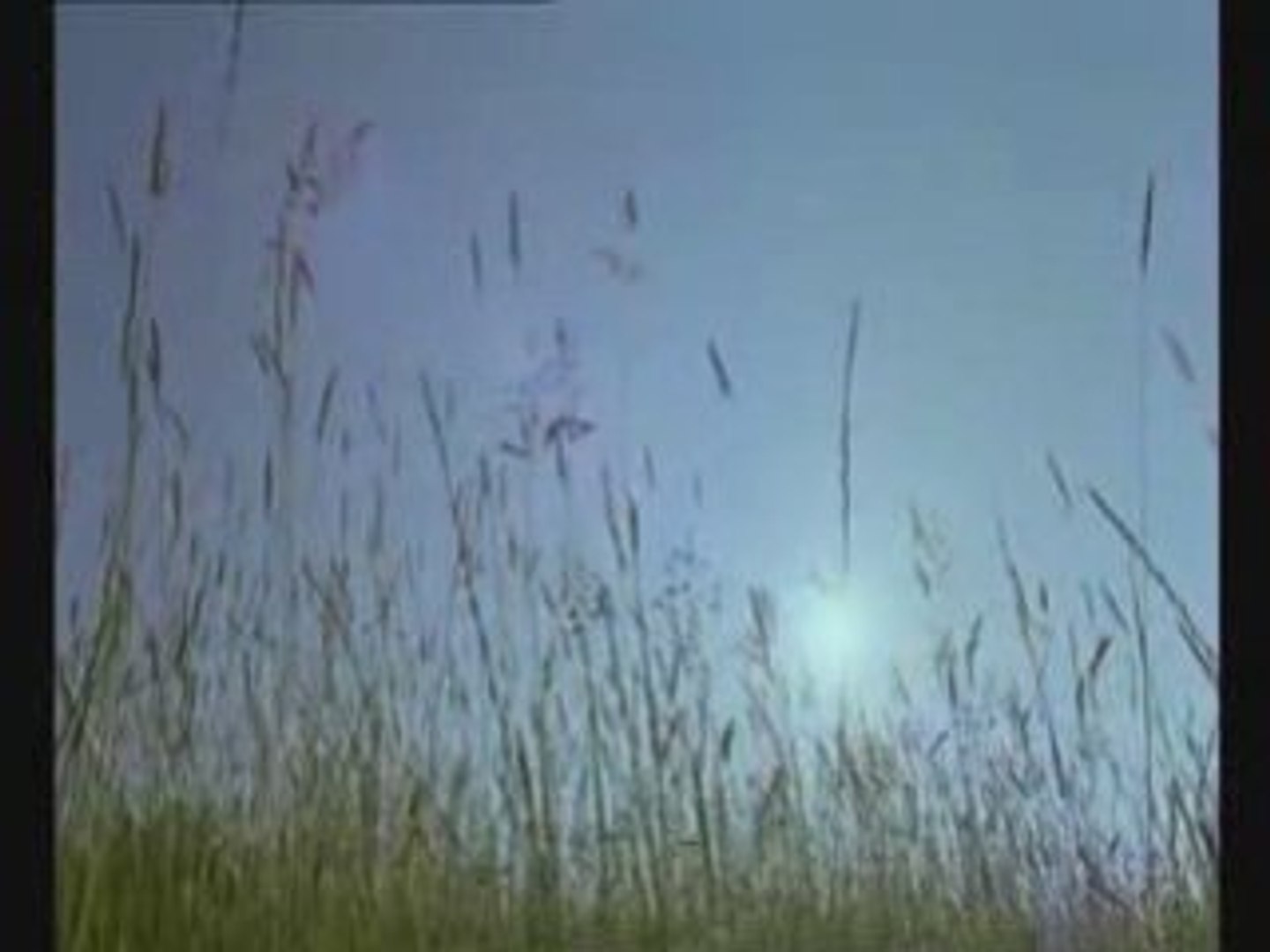 ⁣BETTY MARS- J AI LE MAL DE TOI
