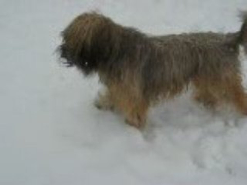 César et Clovis dans la neige