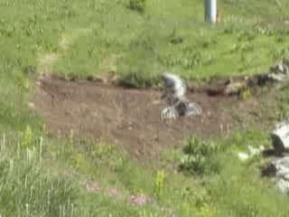 clement vtt freeride 4