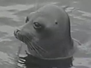 Baïkal 2007 partie 2