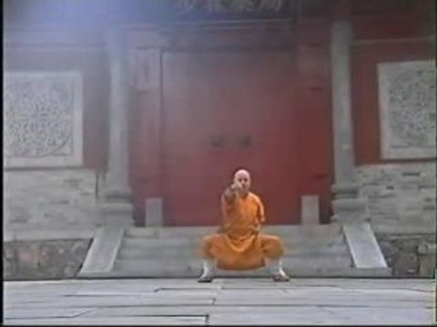 Qi Gong : Ba Duan Jing (Les 8 piéces de Brocard)