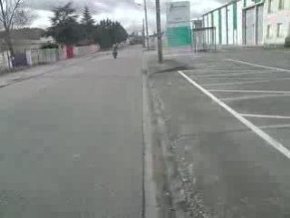 hornet
