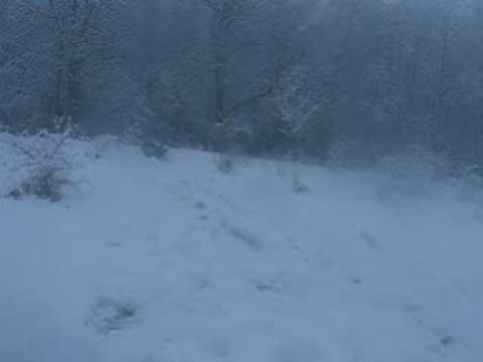 Moi à la neige