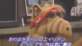 ALF アルフ Alien Life Form 08 DON'T IT MAKE MY BROWN(君にささげるロック)