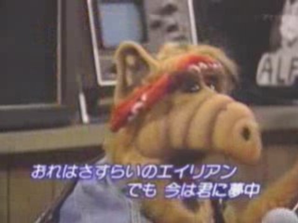 ALF アルフ Alien Life Form 08 DON'T IT MAKE MY BROWN(君にささげるロック)