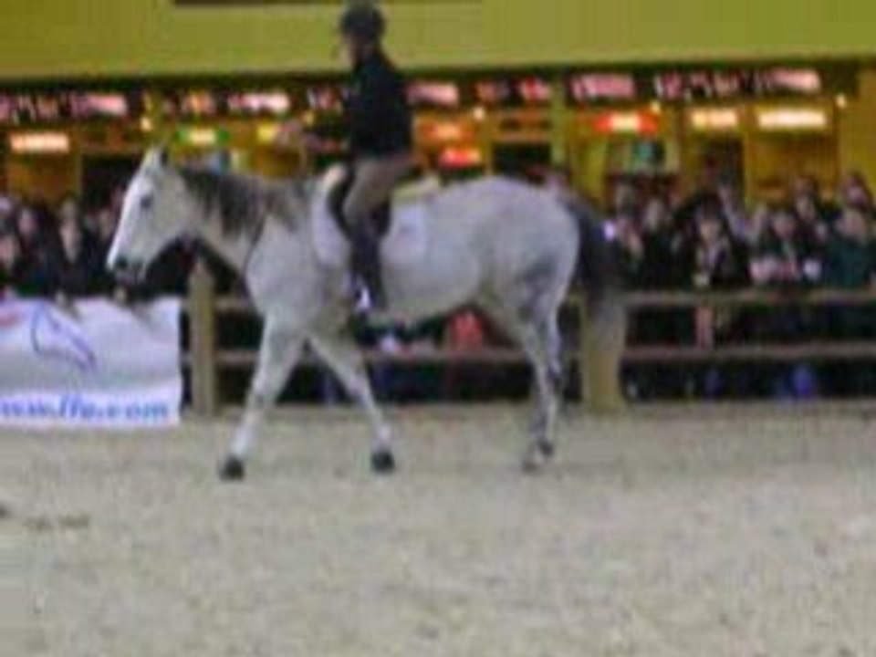 Andy et Oakies (4) salon du cheval 2008