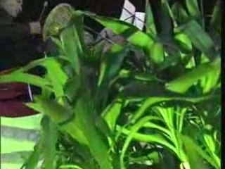 Fatih KOCA-Hüseyni Ilahi