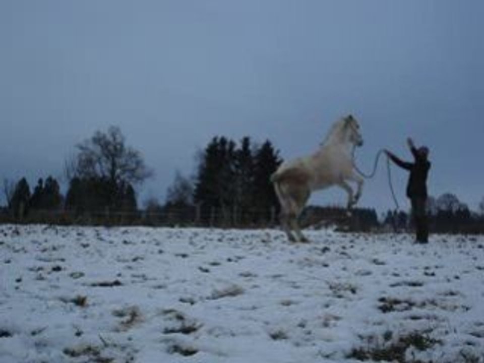 Fidjy et Urika