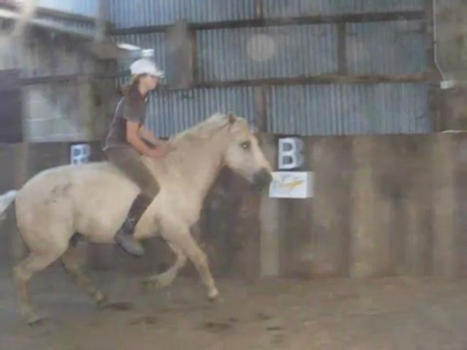 Un poney parfait