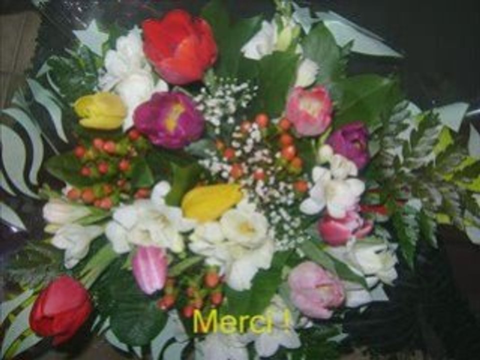 Anniversaires les 10 et 11 décembre 2008