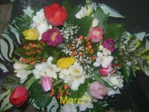 Anniversaires les 10 et 11 décembre 2008