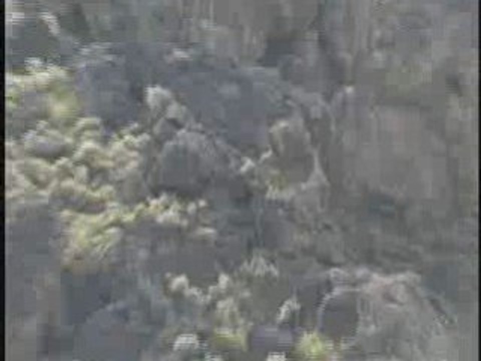 TIREUR_sur_Taliban