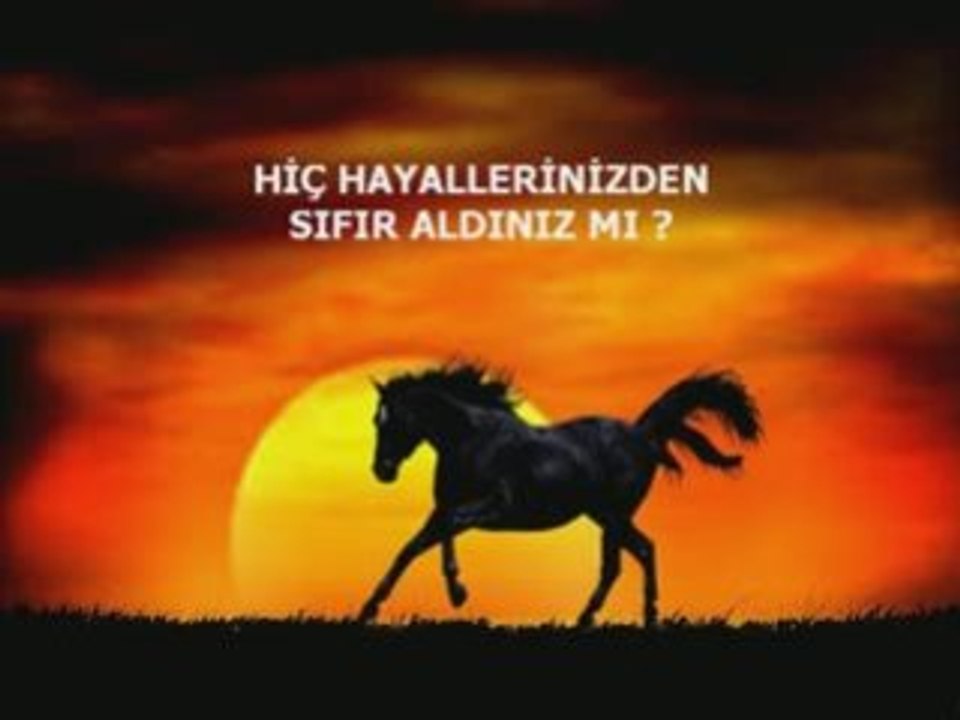Hayaller