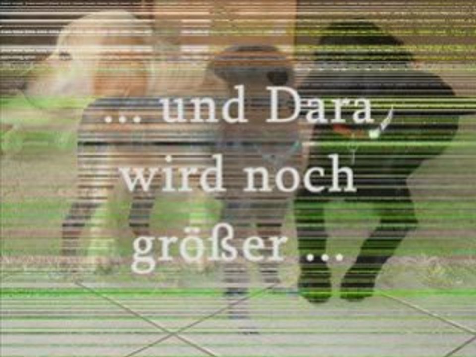 Dara2005bis2008-Video