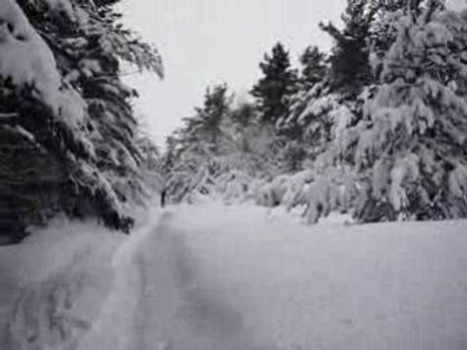 Tempête dans le Haut-Forez