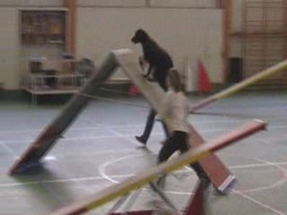 Alex-GPF