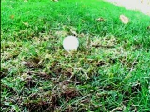 Funny Golf Videos Big Daddy Driver