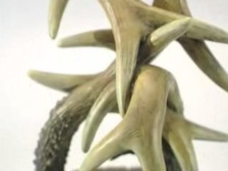 Faux Antler Table Lamp