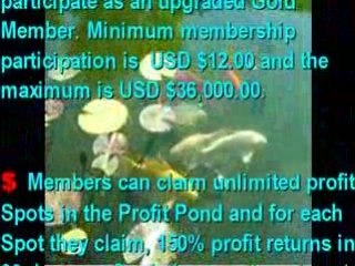 Making Money with Daily Profit Pond Xmas Idea