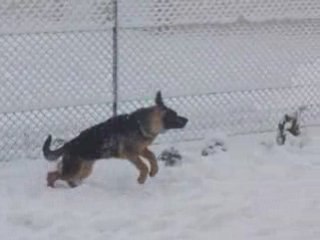 Dank de la maison du prince dans la neige