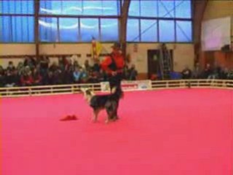 GPF 2008 41