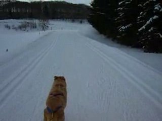 2008 12 15 Rubia en ski joering Lachat 005