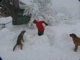 Cyril qui déneige et Kapy le chien qui est jalou