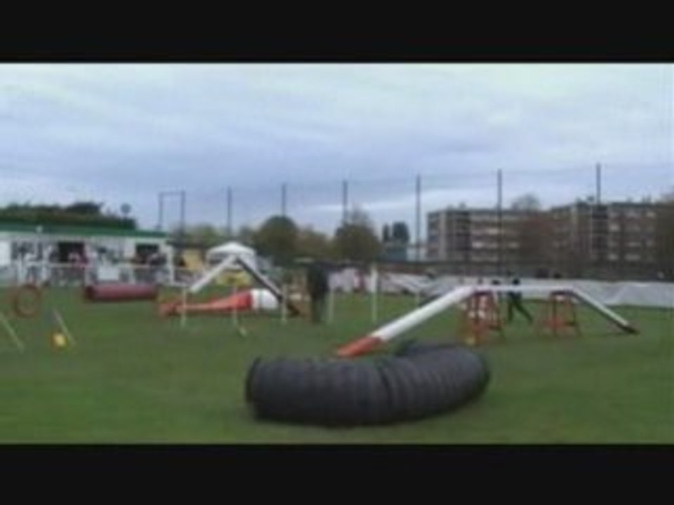 AGILITY AULNAY SOUS BOIS CHWEEPS GPF