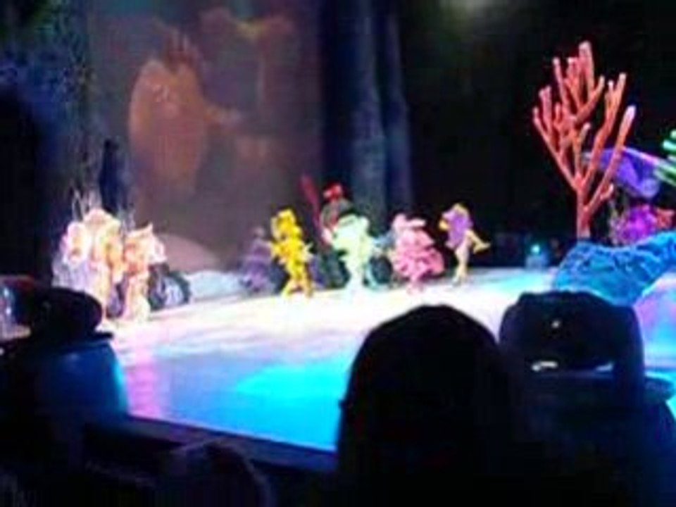spectacle de nemo le 14/12/2008