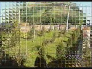 Manastirea Dobrina din Husi