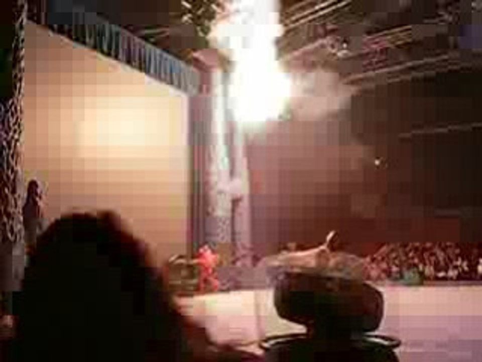 spectacle de nemo le 14/12/2008