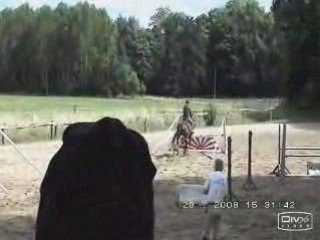 Stage avec Ivan Scherer : Dragon