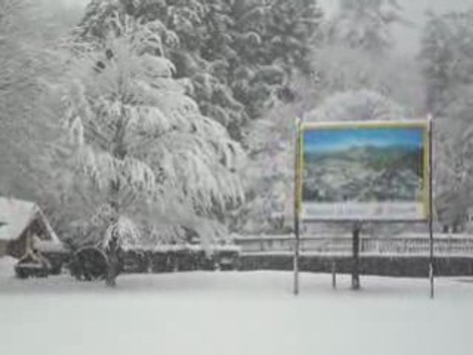 L'Herbe est plus verte sous la neige.