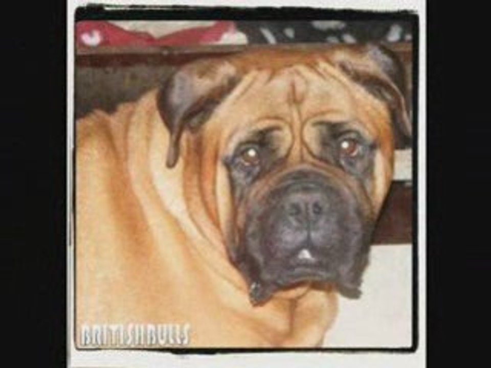 joyeux NOEL et bonne annee 2009  1