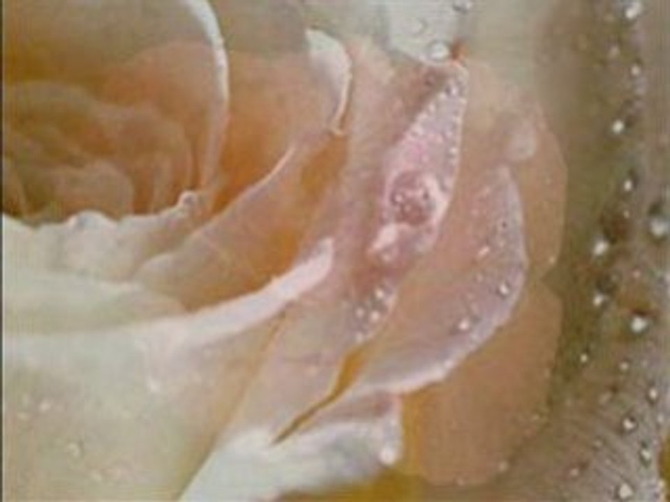 Andre Rieu Je t'aime