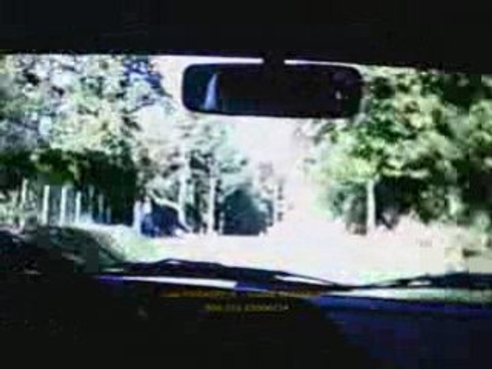 Vienne et glane 2008